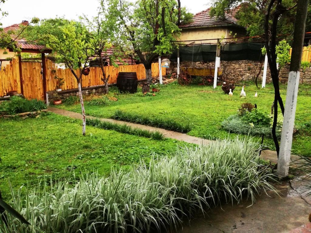 Divna Guest House Κρουσούνα Εξωτερικό φωτογραφία