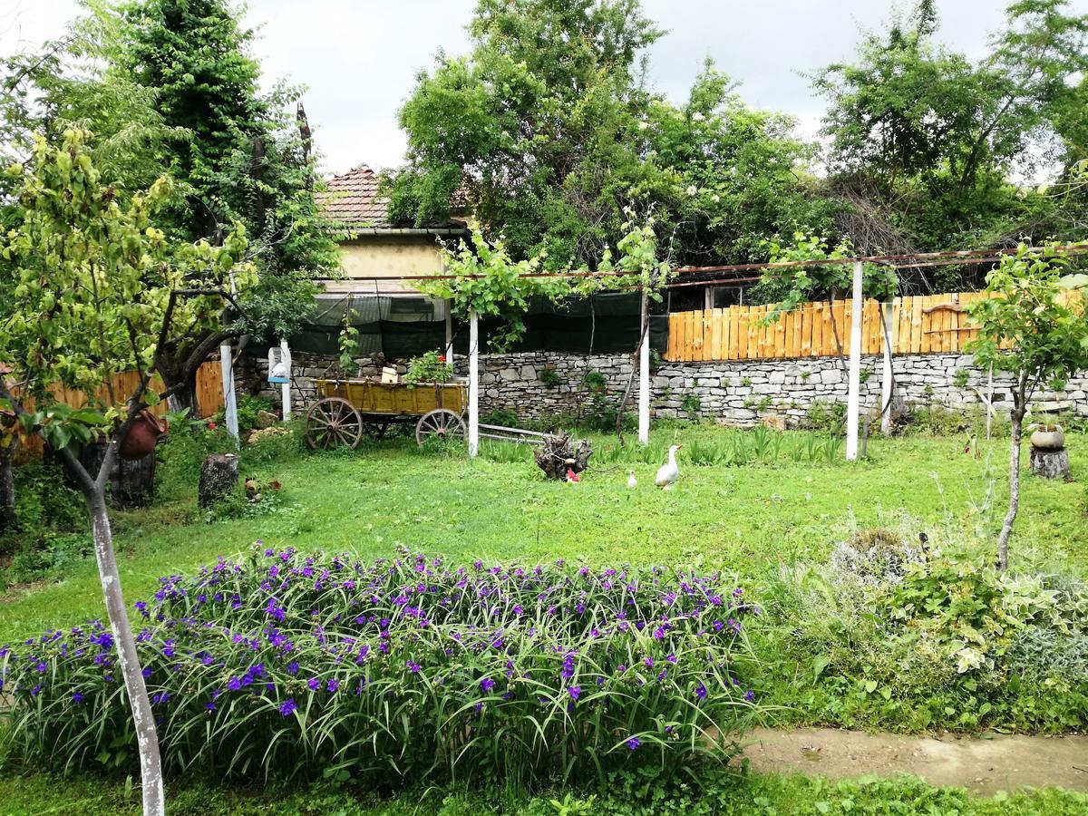 Divna Guest House Κρουσούνα Εξωτερικό φωτογραφία